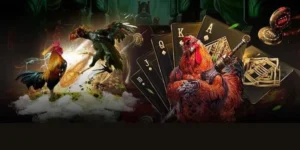 Bí Kíp Vàng Về Cách Chơi Đá Gà GA28 Tại LD789 Thắng Lớn Mọi Kèo