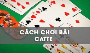 Hướng Dẫn Cách Chơi Sắc Tê Nhà Cái LD789 Thắng Đậm Đà