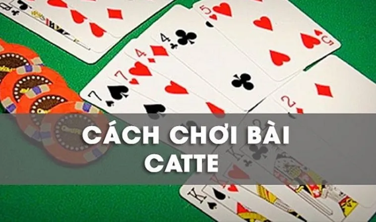 Hướng Dẫn Cách Chơi Sắc Tê Nhà Cái LD789 Thắng Đậm Đà